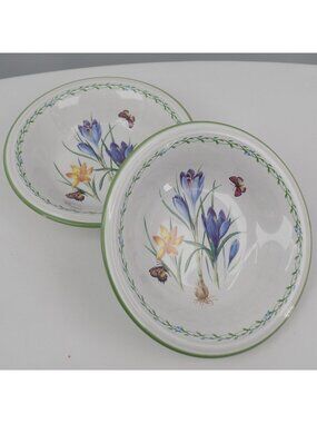 Set of 2 Studio Nova Garden Bloom Coupe Cereal Soup Bowl Butterfly Flowers 8" di